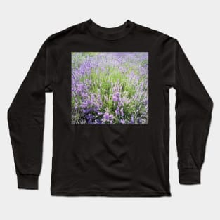 Lavender Long Sleeve T-Shirt